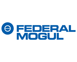 FEDERAL-MOGUL